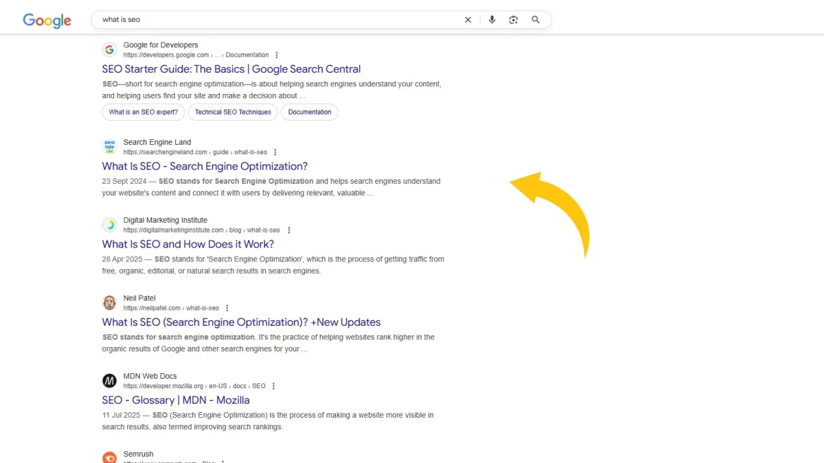 What is "10 Blue Links" in SEO