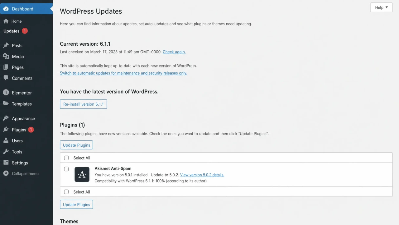 WordPress Updates screen showing the latest WordPress version and a pending plugin update notification.